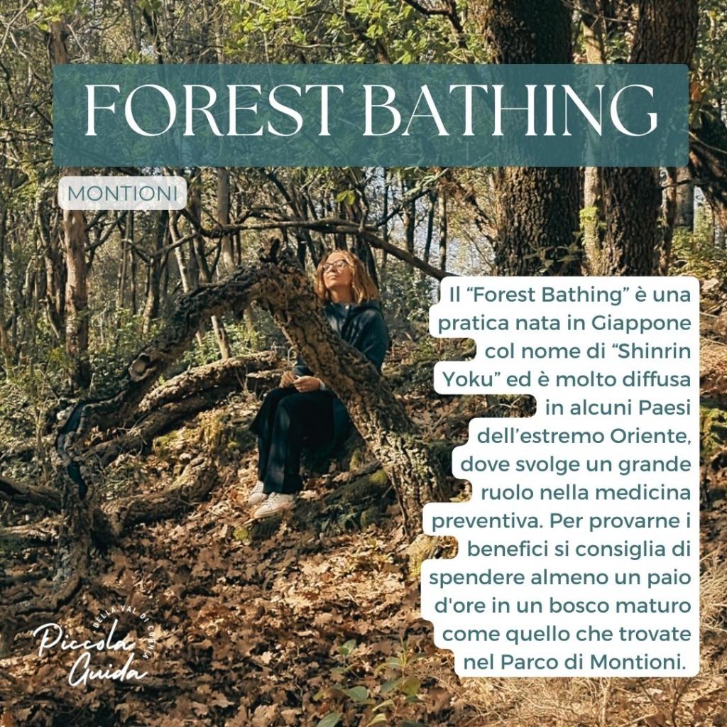come rigenerarsi: Forest Bathing