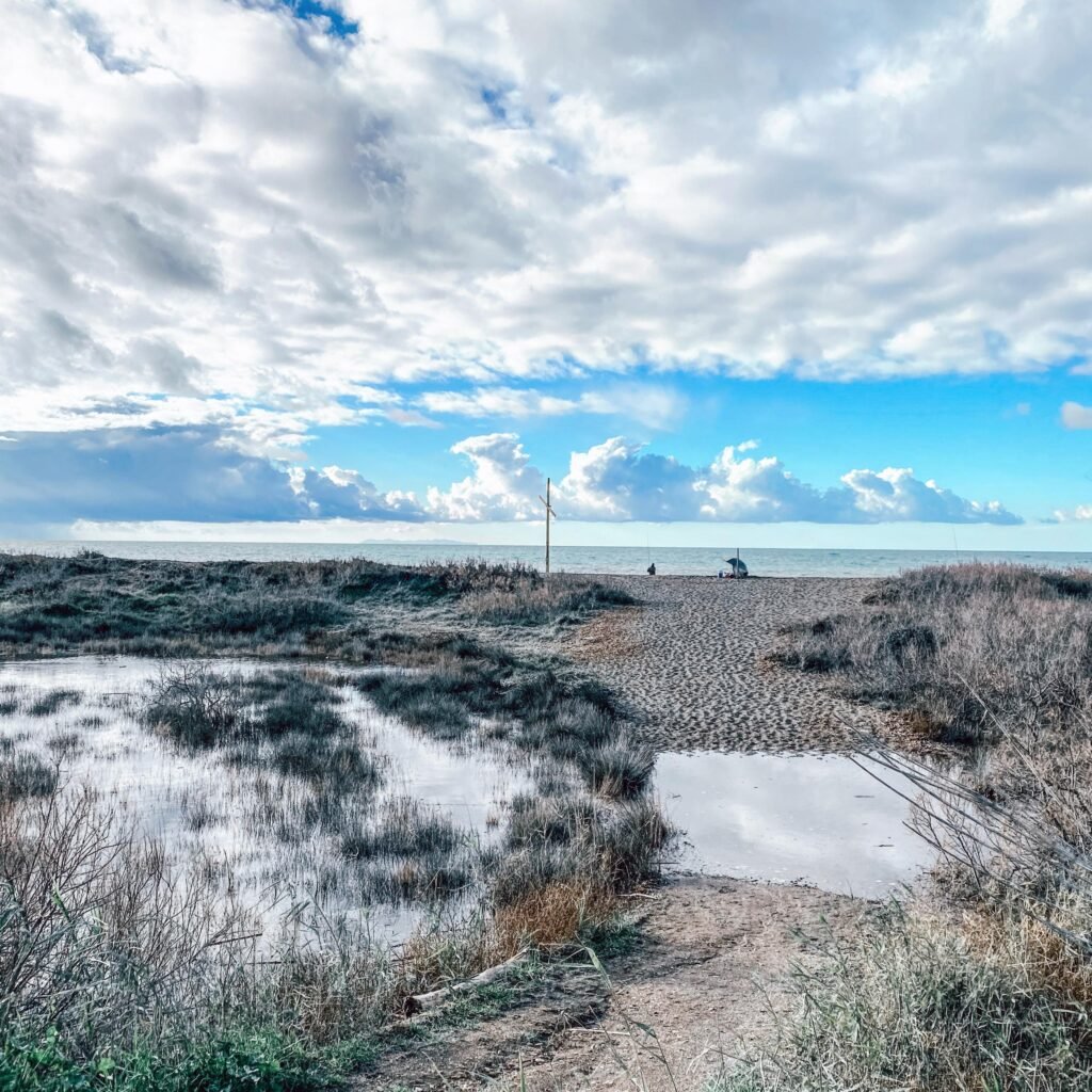 Spiaggia e dune del Parco di Rimigliano, Val di Cornia, meta naturale vicino Suvereto.