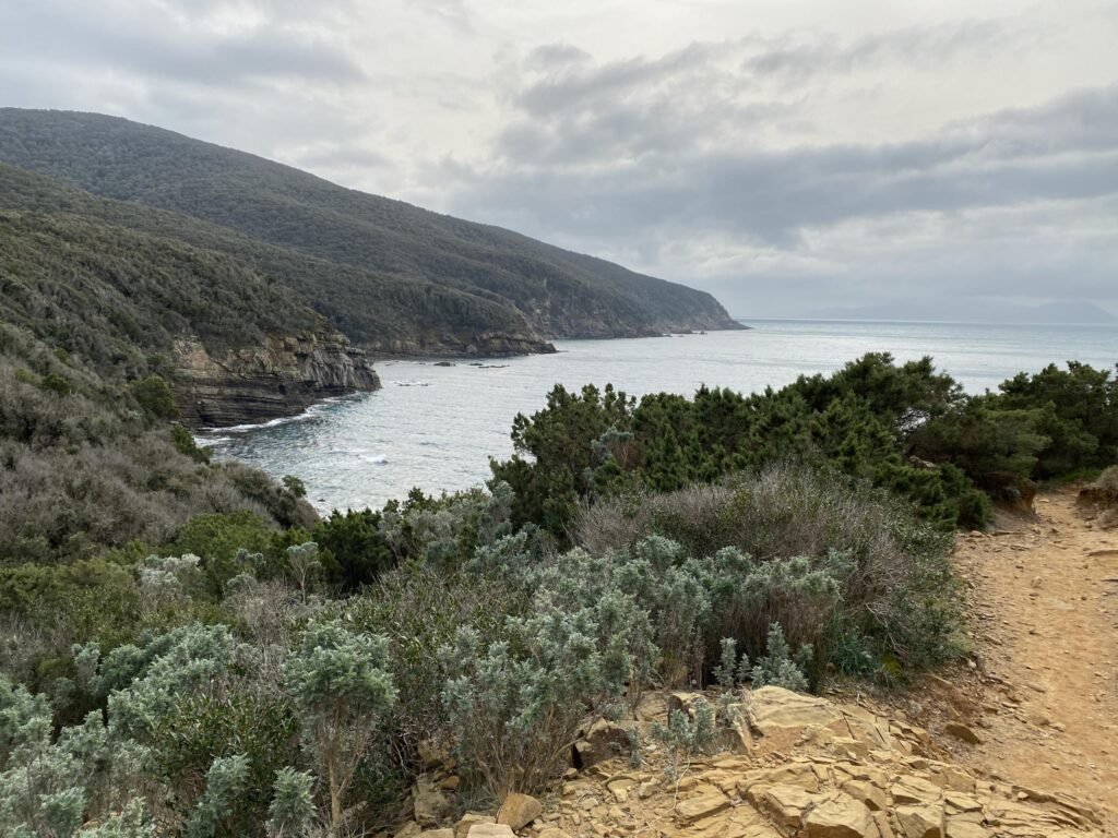 Paesaggio costiero di Buca delle Fate, Suvereto, con mare e vegetazione mediterranea. Scoperta della Val di Cornia.