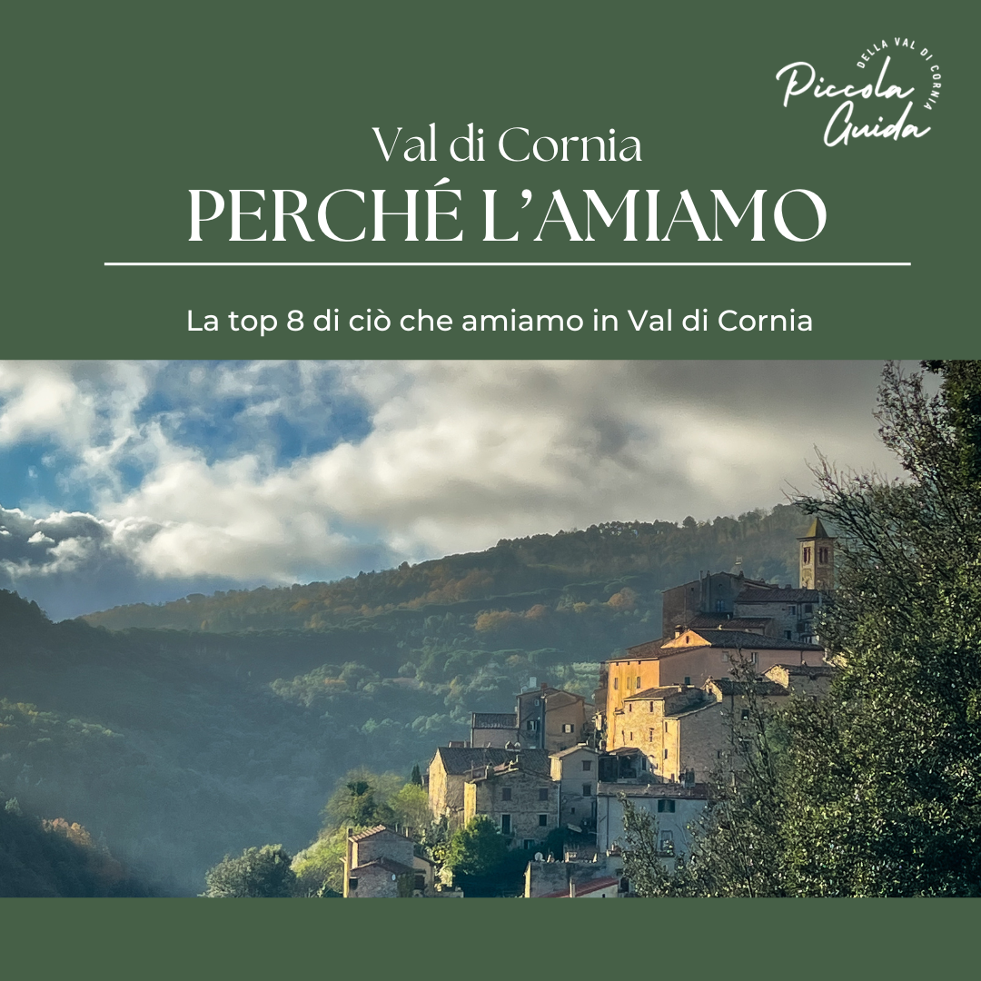 Vista panoramica di un borgo in Val di Cornia, tra colline verdi e cielo nuvoloso. Scopri perché lo amiamo.