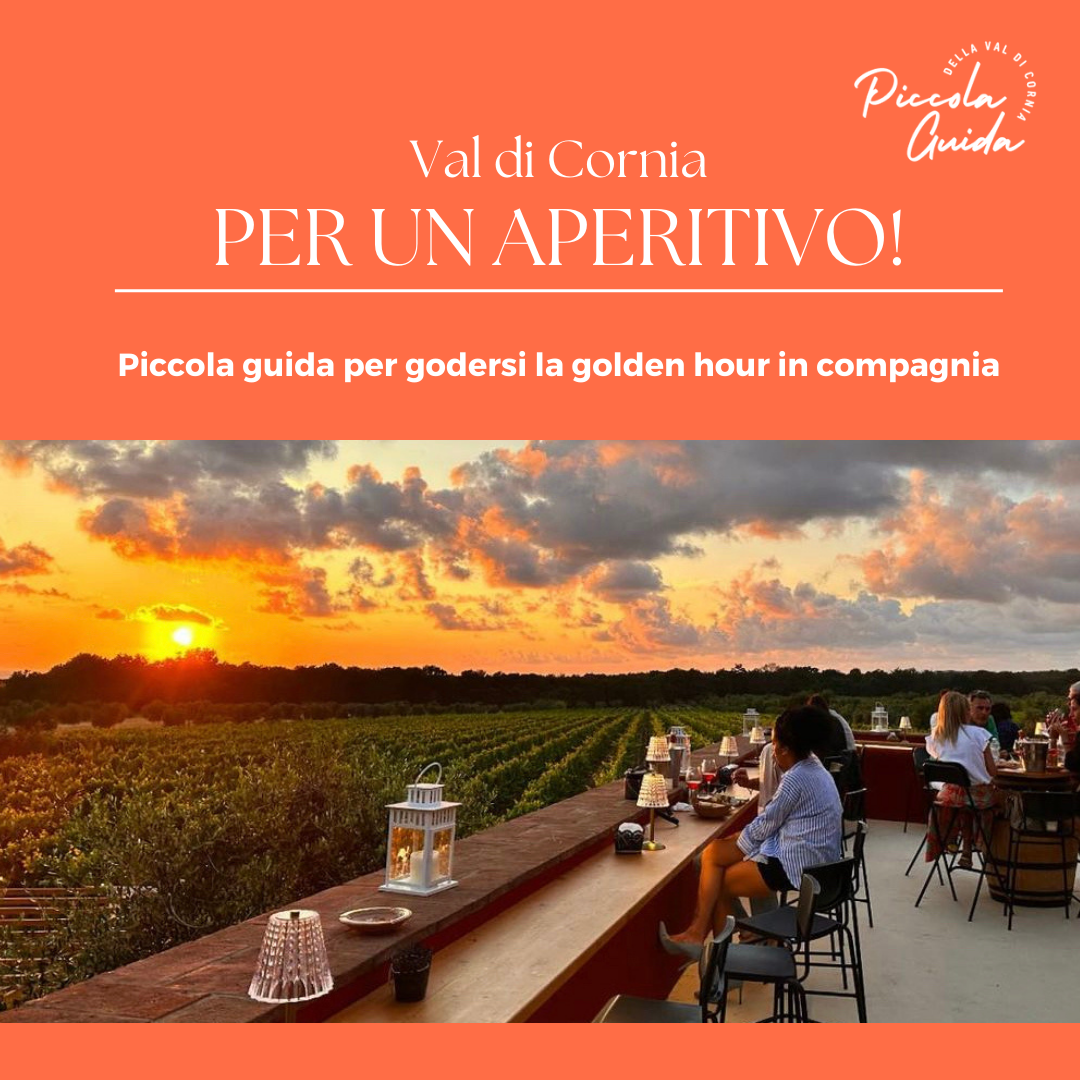 Aperitivo al tramonto in Val di Cornia, vista panoramica su vigneti, guida esperienziale per turisti a Suvereto.