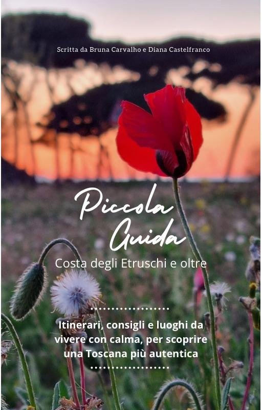 Guida Costa degli Etruschi: papaveri al tramonto, scopri la Toscana autentica con itinerari e consigli.